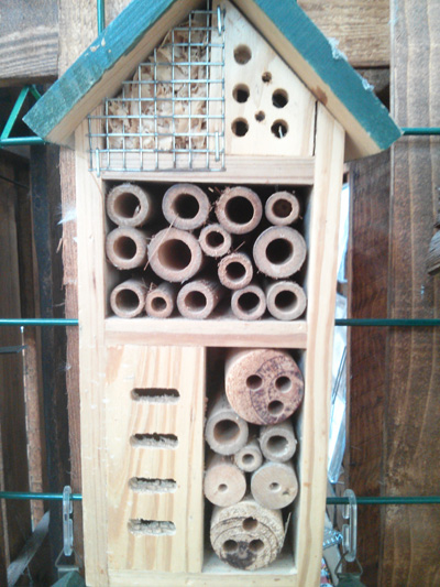 Casette per insetti in legno, dettaglio