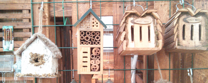 Casette per insetti in legno