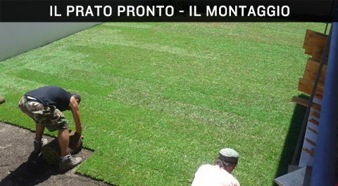 Prato pronto, il montaggio dei rotoli