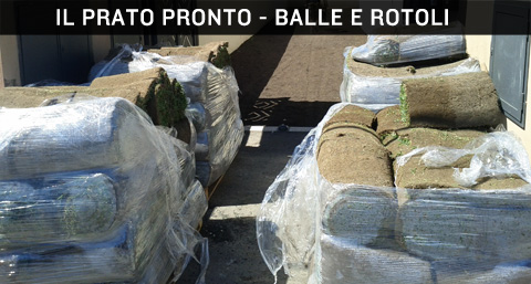 Prato pronto, rotoli e balle di prato pronto